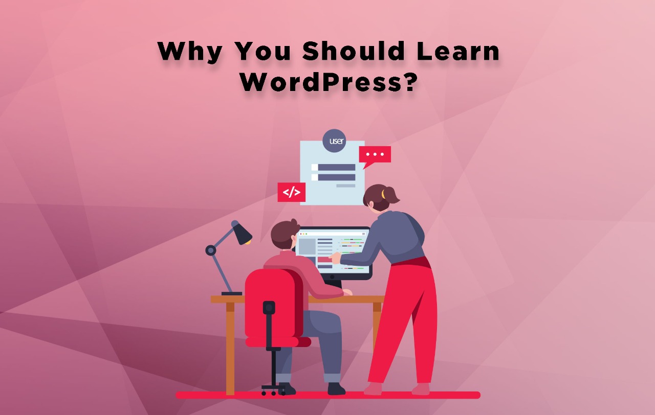 Why You Should Learn WordPress - Digital Minds Pakistan